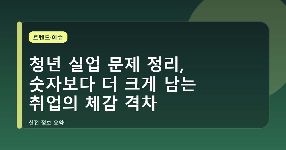 청년 실업 문제 정리, 숫자보다 더 크게 남는 취업의 체감 격차