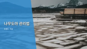 나무도마 오래 쓰는 비법: 완벽한 나무도마 관리법 총정리