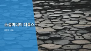 소셜미디어 디톡스, 현대인의 마음을 되찾는 방법 탐구