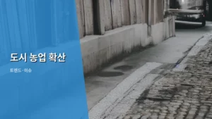 도시 농업 확산, 우리 삶의 녹색 변화를 이끌다