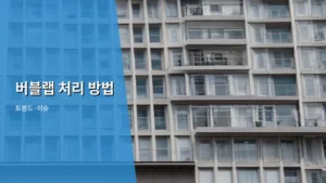버블랩 처리 방법, 완벽 가이드로 궁금증 해결하기