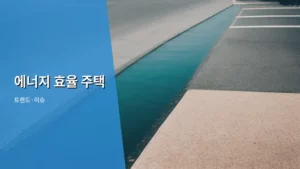 미래를 담다: 똑똑한 에너지 효율 주택 트렌드 분석