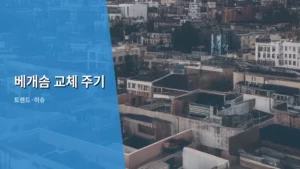 베개솜 교체 주기, 제대로 알고 숙면하는 법 파헤치기