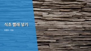 산뜻한 빨래의 비밀: 식초 빨래 넣기 활용법과 오해 풀기