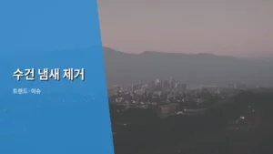 꿉꿉한 수건 냄새 제거, 집안 청결 지키는 생활 습관 꿀팁 공개