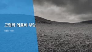 고령화 시대, 우리가 직면한 의료비 부담 문제점과 대비책 알아보기
