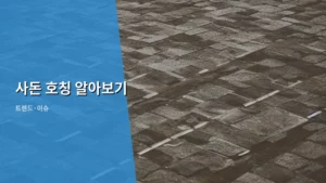 사돈 호칭 알아보기: 복잡한 관계, 현명하게 풀어가는 법