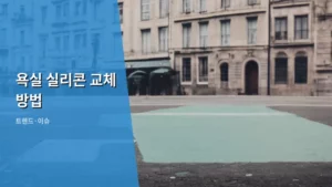 낡은 욕실 실리콘, 직접 교체하는 완벽 가이드 (욕실 실리콘 교체 방법)