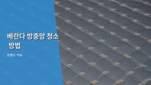 베란다 방충망 청소 방법, 봄맞이 묵은 때 벗기는 완벽 가이드