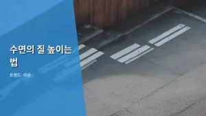 꿀잠 자는 비결! 수면의 질 높이는 법 A to Z 전격 분석