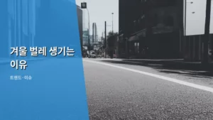겨울철 집안에 벌레가 생기는 이유와 생활 속 예방법 총정리