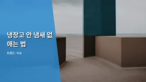 신선함을 지키는 비법! 냉장고 안 냄새 없애는 법 총정리